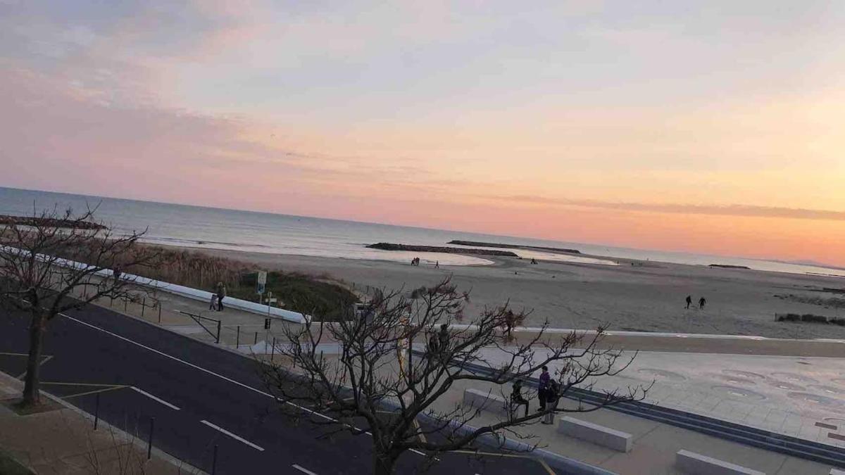 T3 Vue Superbe Sur Et Appartement *